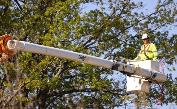 Élite Élagage à Balma — Taille sécurisée et esthétique des arbres