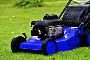 Entretien espaces verts à Plaisance-du-Touch : tonte, taille et services paysagers professionnels