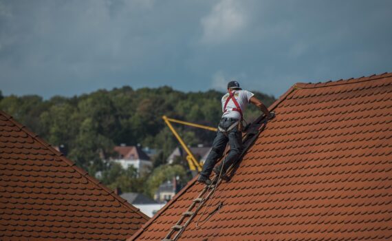 Dibard Espaces Verts à Toulouse Démoussage professionnel à L'Union pour une toiture propre et durable