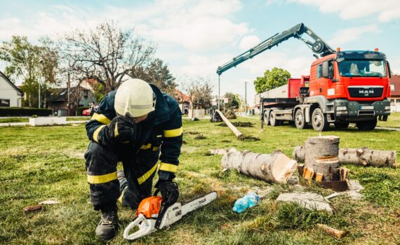 Dibard Espaces Verts à Toulouse Rognage de souche à Escalquens : retrouvez un jardin propre et prêt à aménager